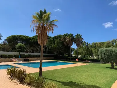 a palm tree next to a swimming pool at Kasa Joly Albufeira By Calyferias in Albufeira