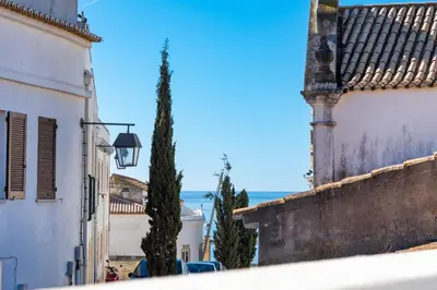 a view of a street with buildings and a tree at Casa dos Sonhos Albufeira in Albufeira