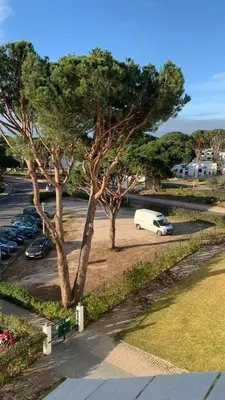 a white car parked in a parking lot with trees at Apartment 3 persons in Vilamoura, Algarve in Quarteira
