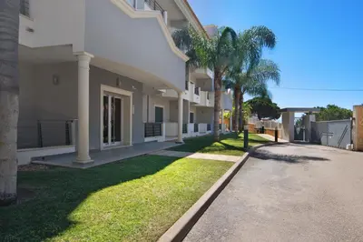 a building with a palm tree next to a street at Apartamento T1 - Em zona tranquila in Olhos de Água