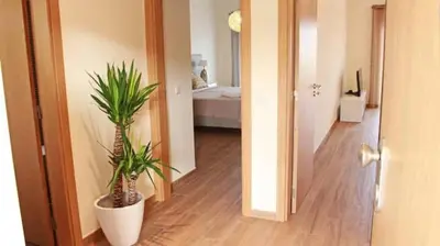 a hallway with two potted plants in a room at Apartment Amelo in Albufeira