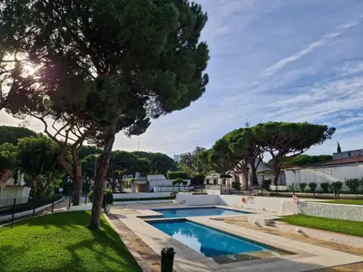 a swimming pool in a yard with a tree at Paulo's 104 in Albufeira