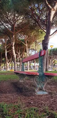 a park bench sitting next to a tree at Estúdio na Falésia in Albufeira