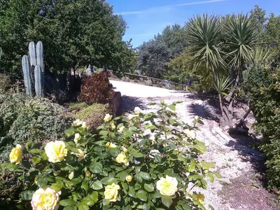 a garden with yellow roses and a fence at Casa Bi Rosario - Quinta Amoreira in Faro
