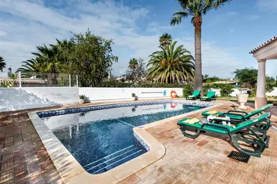 a swimming pool with chairs and a palm tree at Celina by Algarve Villa Holidays in Guia