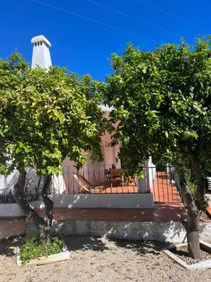 a house with a lighthouse behind two trees at Beautiful private Villa with pool, Boliqueime, Loulé in Boliqueime