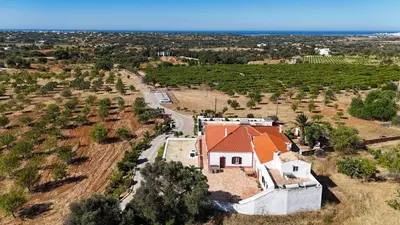 an aerial view of a house with an orange roof at Quinta Coelho in Guia
