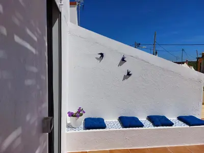 a white wall with three blue cushions and birds at 