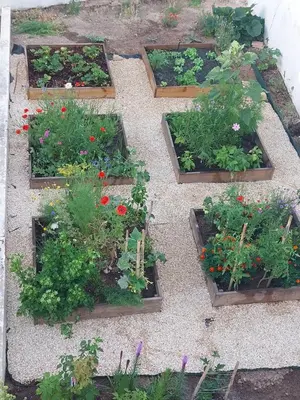 a garden with many different types of plants at 