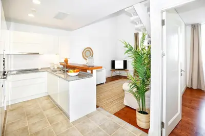 a kitchen with white cabinets and a potted plant at Watermelon Sugar Apartment in Faro