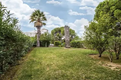 a park with palm trees and a grass field at Falesia by Check-in Portugal in Albufeira