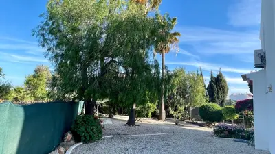 a tree in a yard next to a fence at Nicola by Check-in Portugal in Albufeira