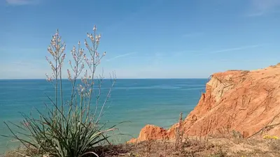 a view of the ocean from a cliff at Your house at Falésia in Albufeira