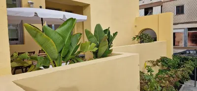 a balcony with plants and an umbrella on a building at Casa da Açoteia - Bright City Center Apartment with a Private Outdoor Terrace in Faro