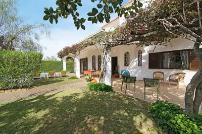 a house with a yard with chairs and a tree at Casa da Oliveira in Loulé
