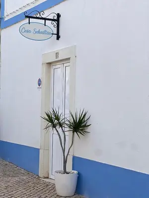 a plant in a pot in front of a door at Casa Sebastião in Faro