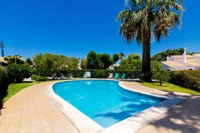 a swimming pool in a yard with a palm tree at Small Villa 4Pax -Shared Pool @ Homesbyfc in Albufeira
