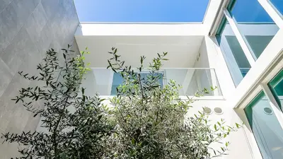 a house with a plant in front of a window at Villa Serenity- CleverDetails, Central Vilamoura, Sleeps 4 adults and 2 children, located in the center in Vilamoura
