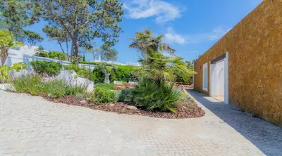 a courtyard with a stone wall and trees and plants at Villa Prado - Beautiful beachfront villa in Albufeira