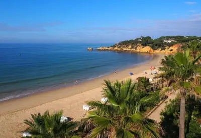 a beach with palm trees and people in the water at COZY APARTMENT OURA BEACH in Albufeira