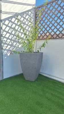 a plant in a pot sitting on the side of a wall at Casa Rafinha in Faro