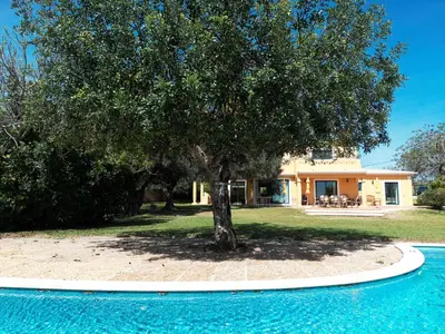 a house with a tree in front of a pool at Vila Limão in Boliqueime