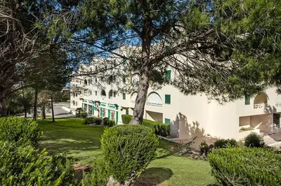a large white building with a tree in a yard at Casa dos Salgados in Guia