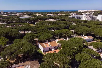 an aerial view of a plantation of trees at Casa da Aldeia in Albufeira